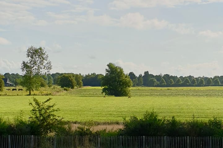 Foto 42 van Bethlehemsreed 7