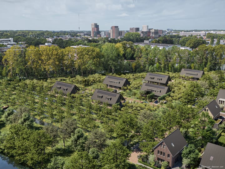 Photo 11 of Rijndael | De Griend