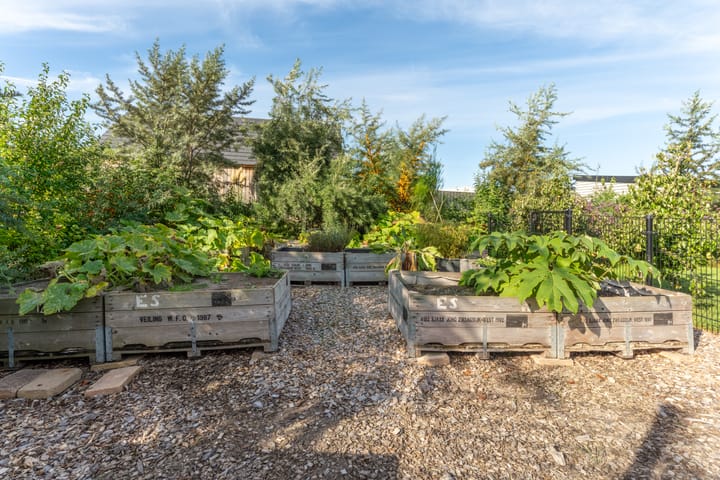 Foto 50 van Michael Faradaystraat 74