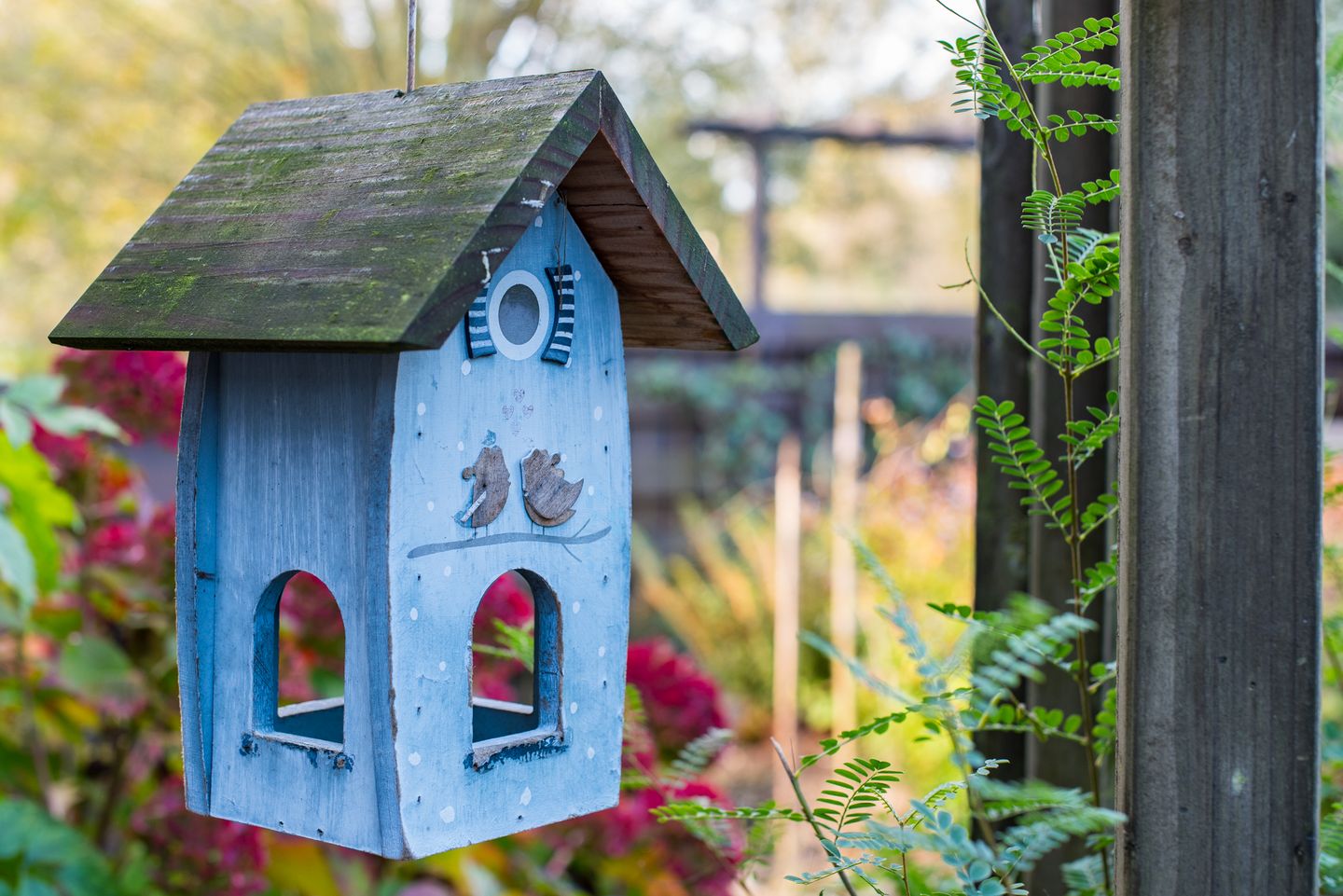 Foto 55 van Boekweitdreef 15