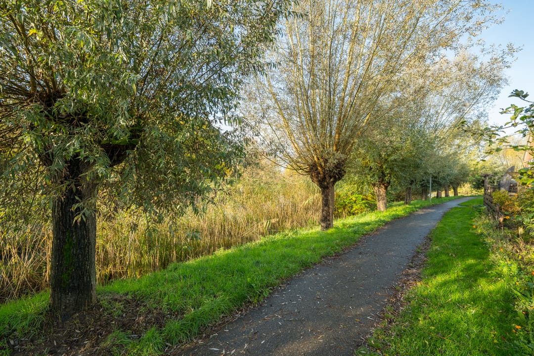 Foto 61 van Boekweitdreef 15