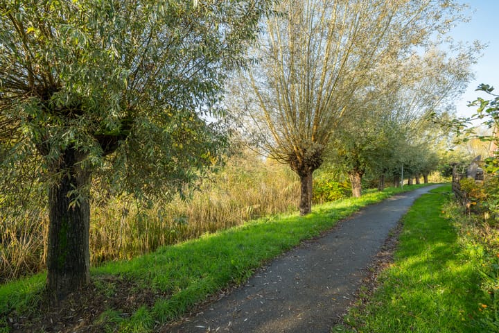 Foto 61 van Boekweitdreef 15