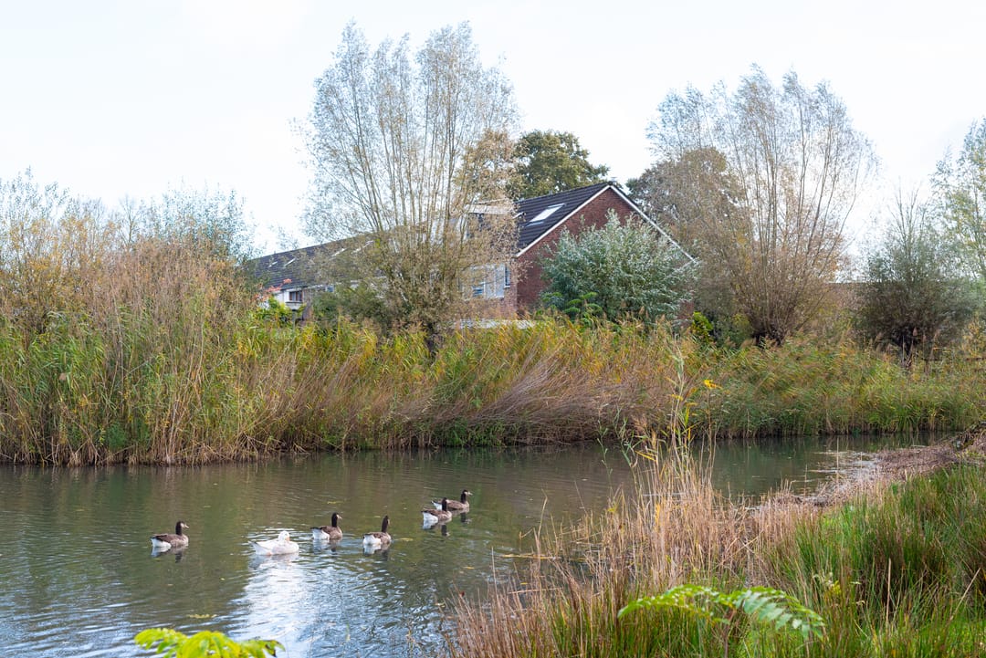 Foto 62 van Boekweitdreef 15