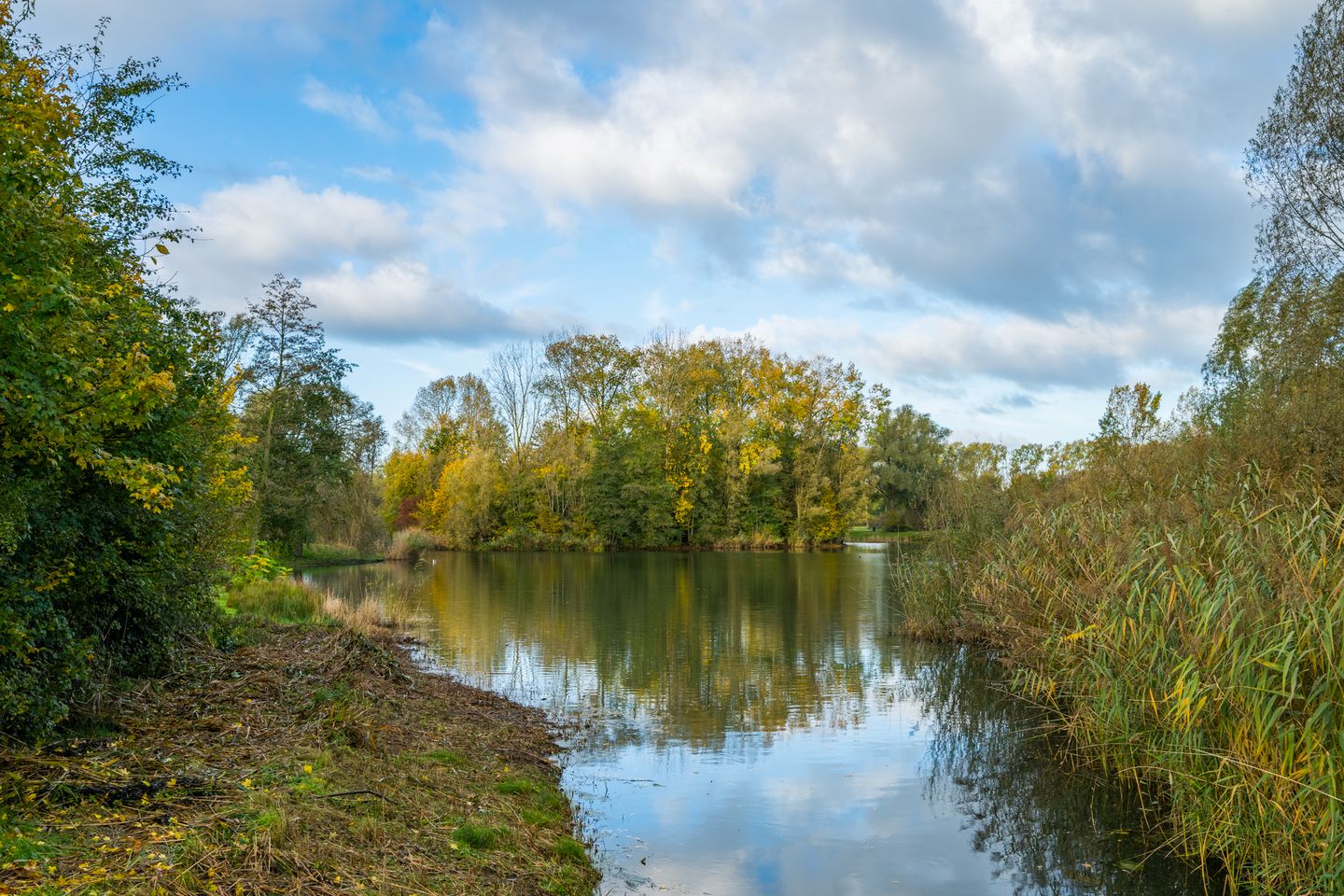 Foto 65 van Boekweitdreef 15