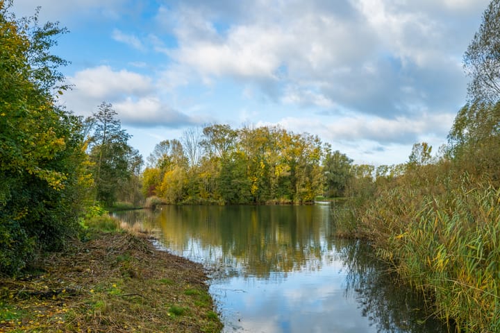 Foto 65 van Boekweitdreef 15