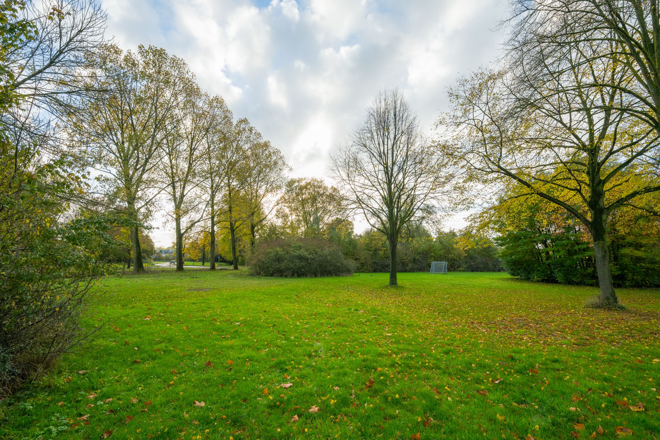 Foto 66 van Boekweitdreef 15