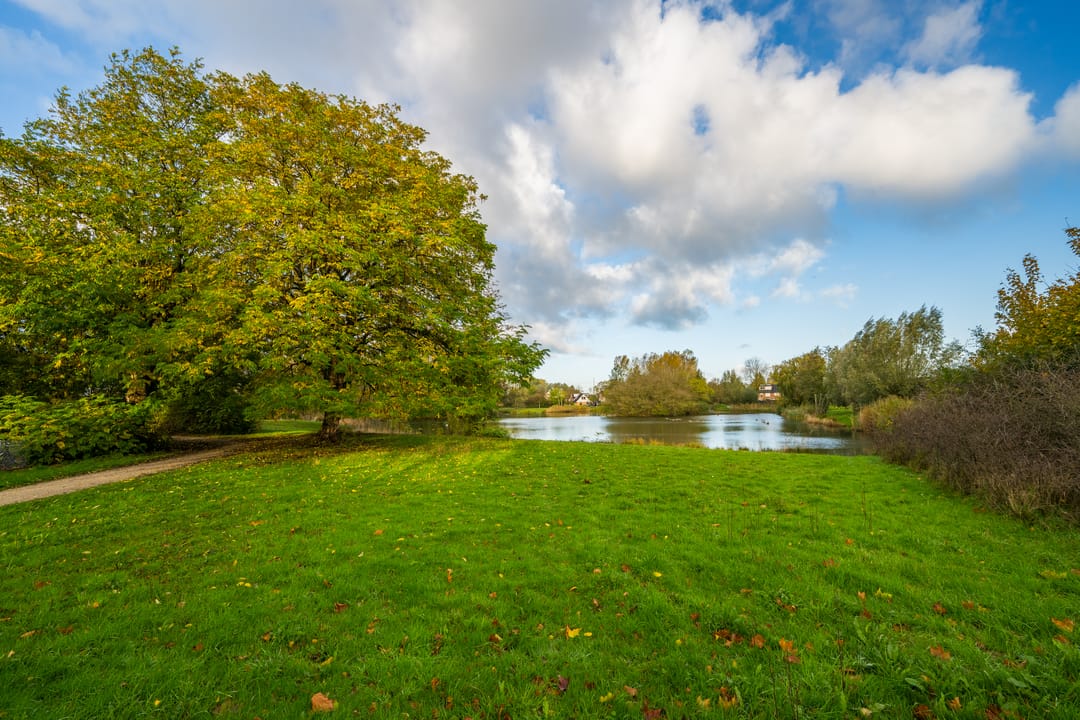 Foto 67 van Boekweitdreef 15