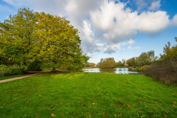 Foto 67 van Boekweitdreef 15