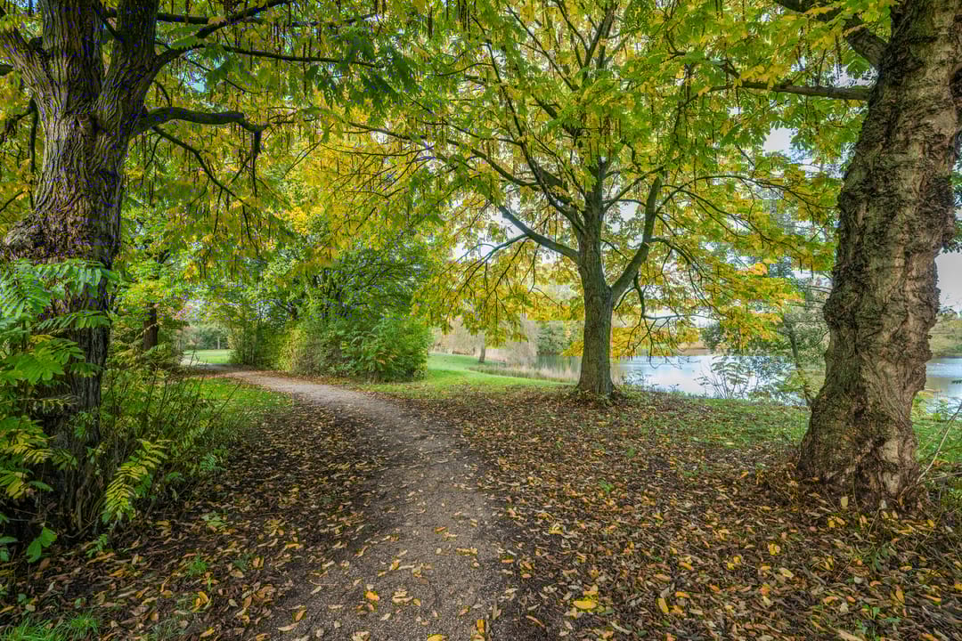 Foto 68 van Boekweitdreef 15