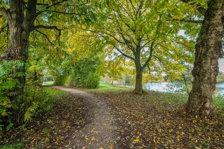 Foto 68 van Boekweitdreef 15