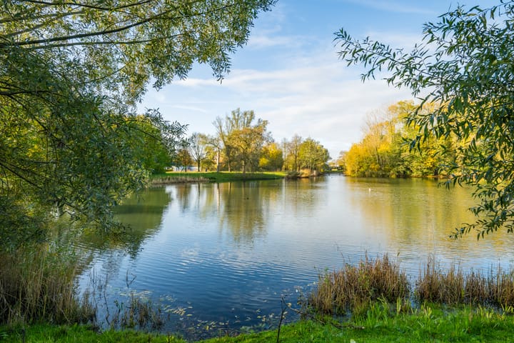 Foto 69 van Boekweitdreef 15