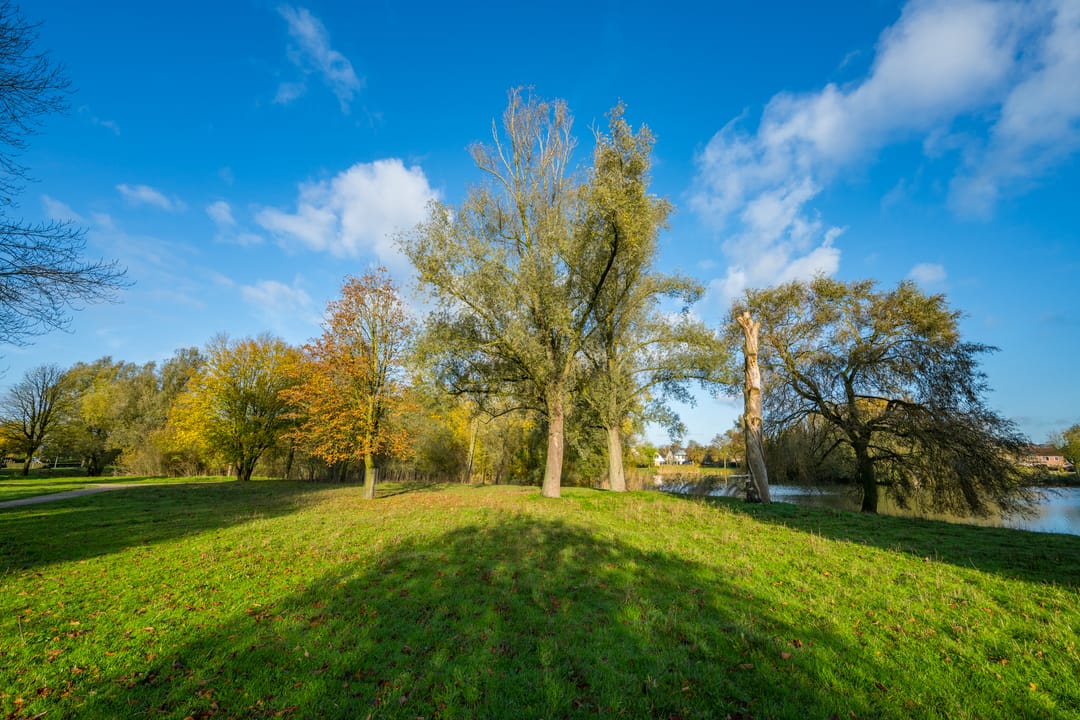 Foto 71 van Boekweitdreef 15