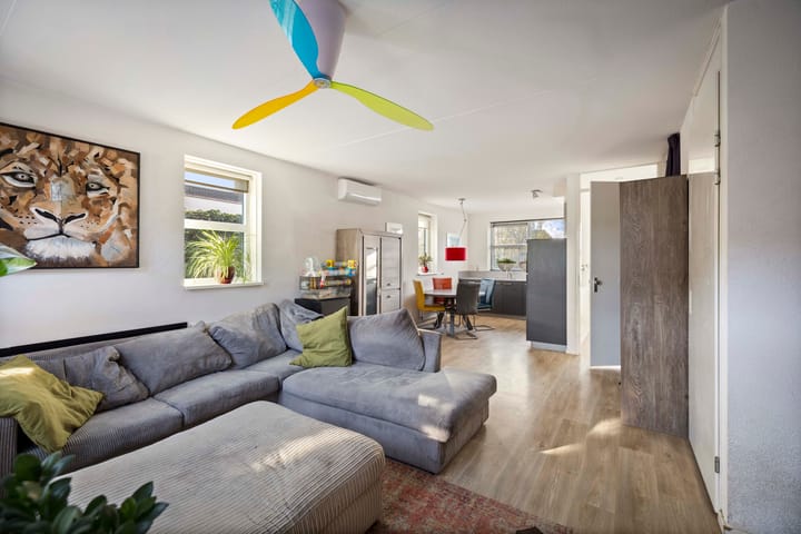 Foto 3 van Roodborst 14