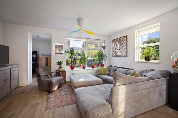 Foto 2 van Roodborst 14