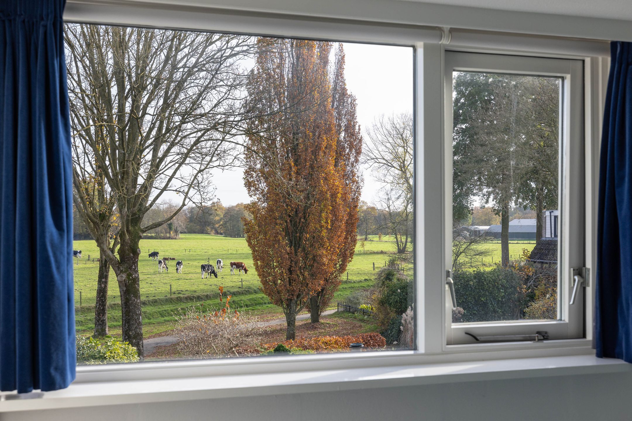 Photo 15 of Godfried Bomansstraat 28