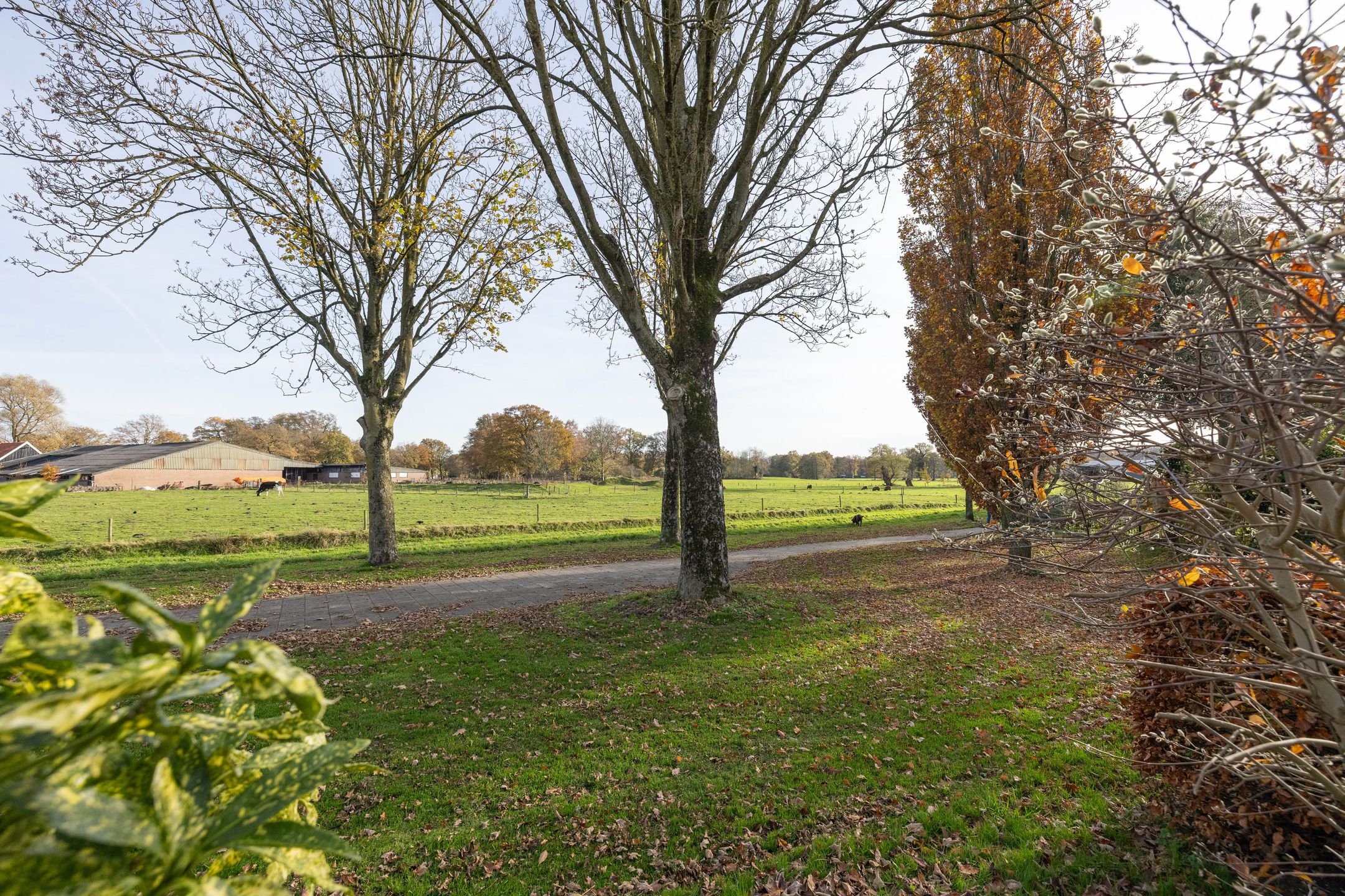 Photo 30 of Godfried Bomansstraat 28