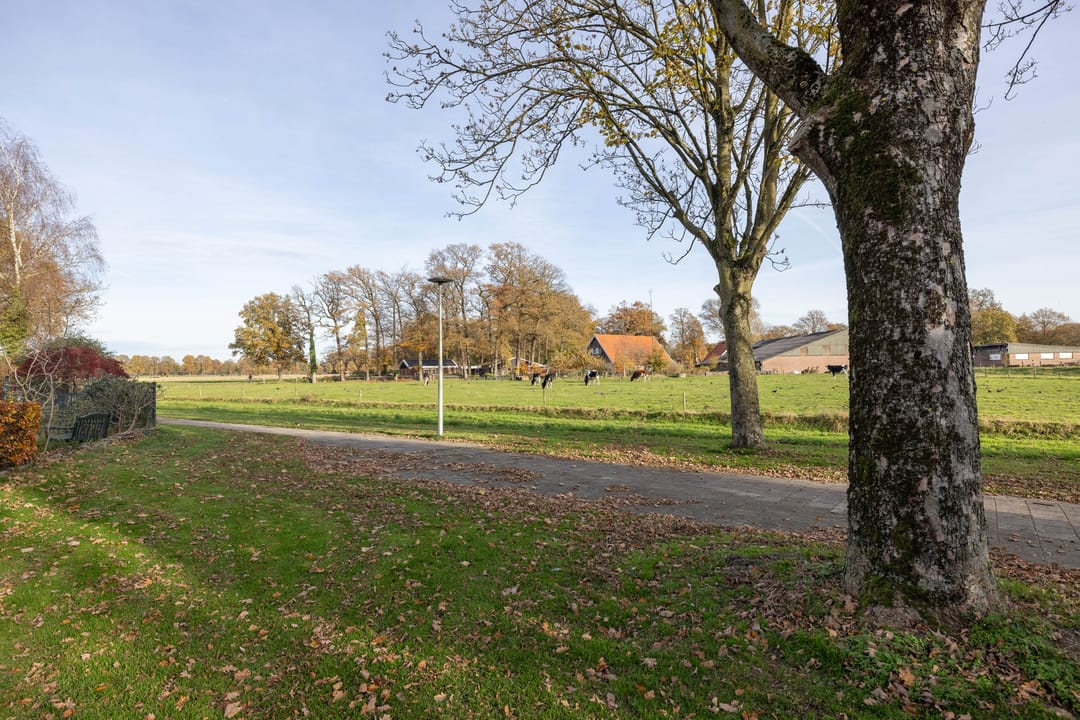 Photo 31 of Godfried Bomansstraat 28