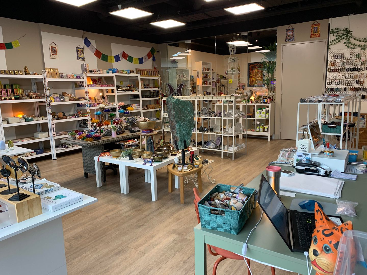 Bekijk foto 4 van Stadskade 468