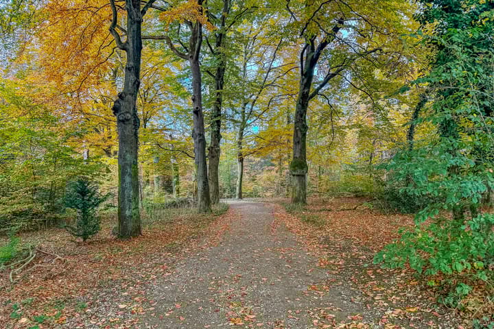 Foto 42 van Gramserweg 1