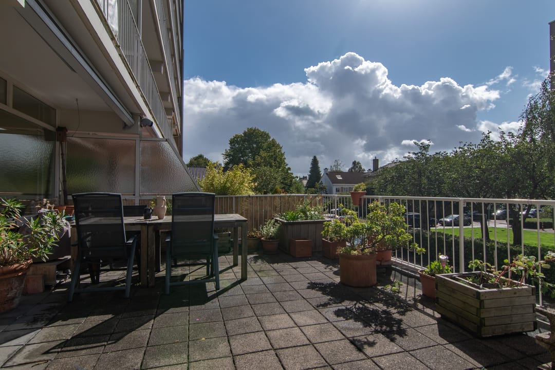 Foto 1 van Suzannaland 188