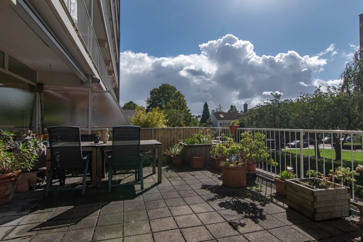 Foto 1 van Suzannaland 188