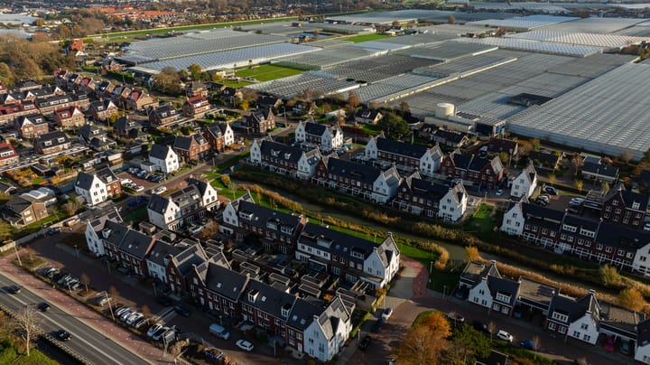 Photo 40 of Leifruit 5