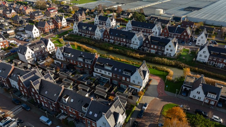 Photo 41 of Leifruit 5