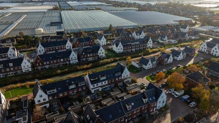 Photo 43 of Leifruit 5