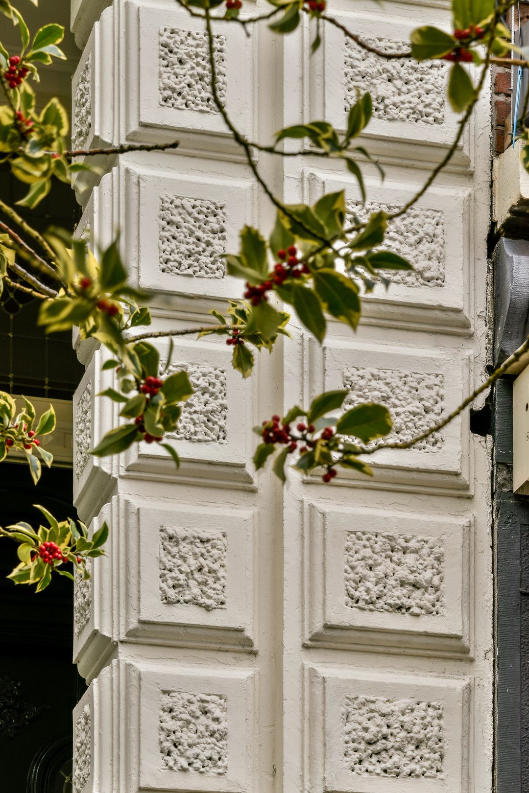 Foto 22 van Linnaeusstraat 27-F