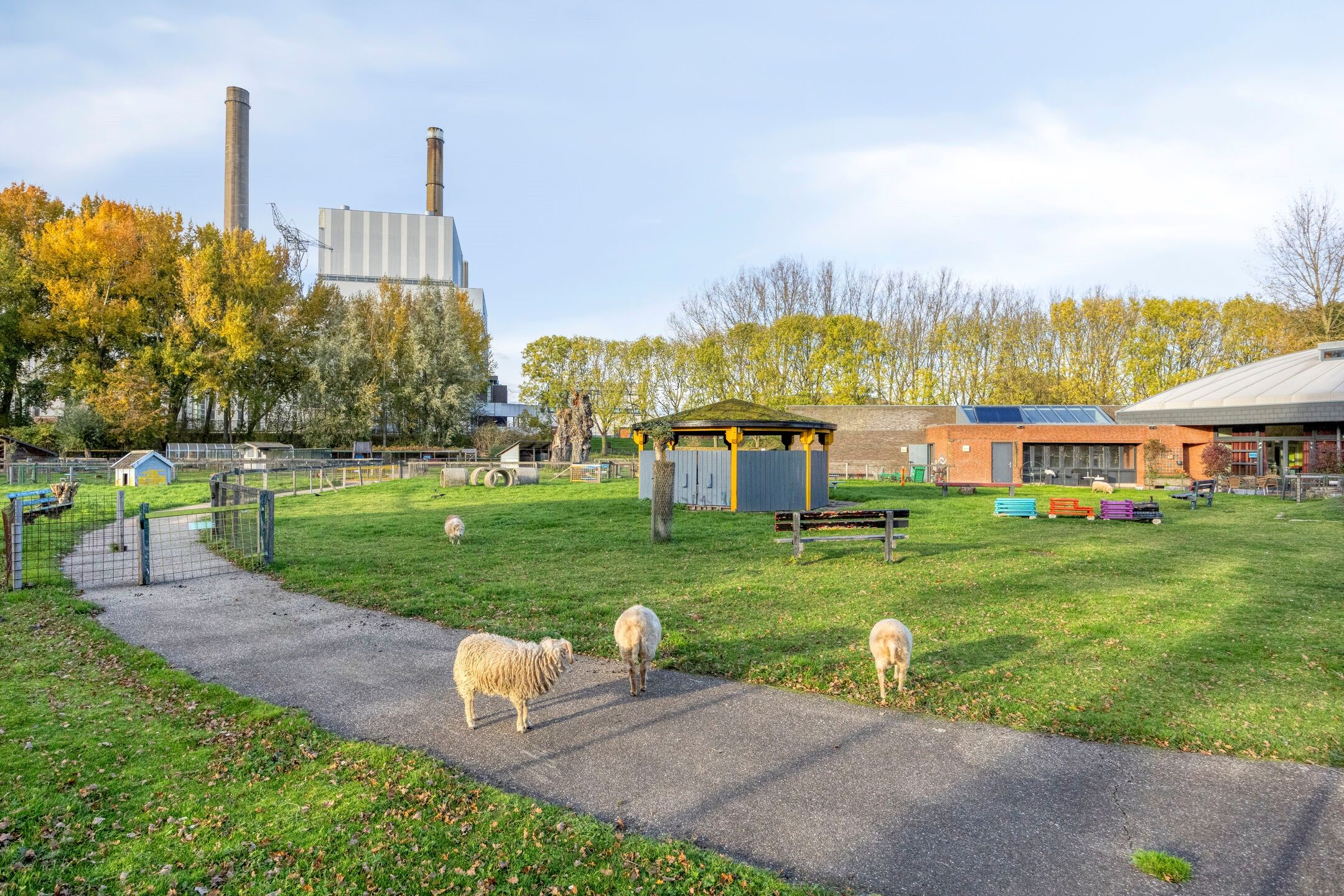 Foto 39 van Noordenbos 27