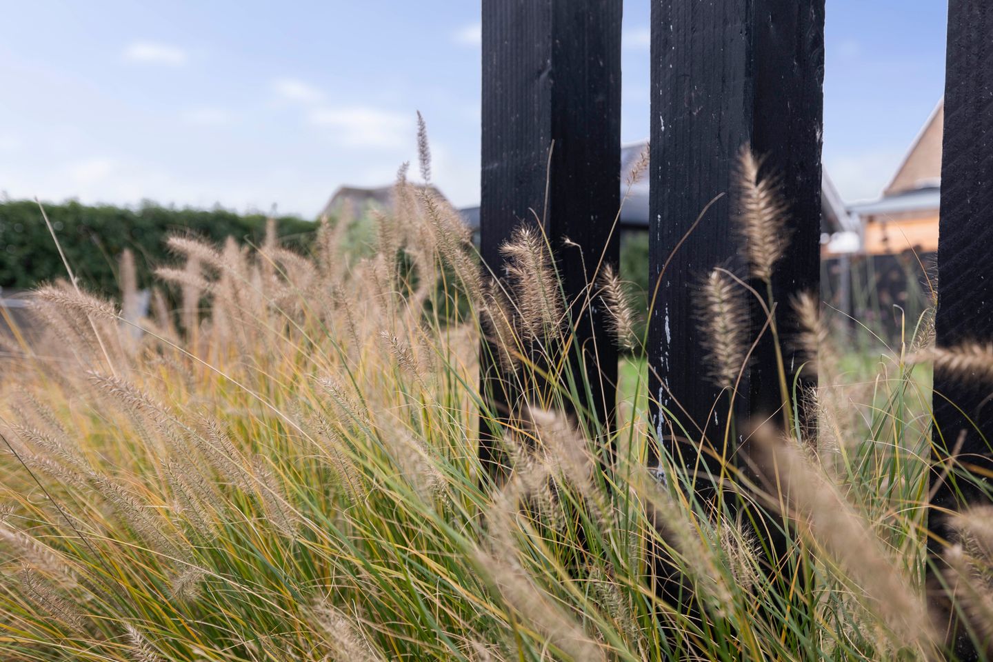 Foto 19 van Ganzeboomsland 28