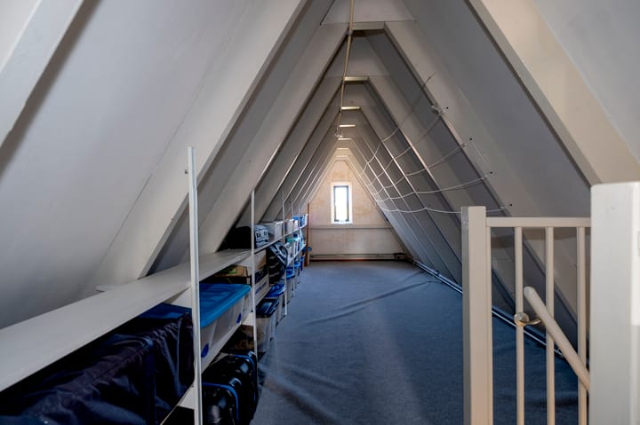 Foto 25 van Kalmoes 29