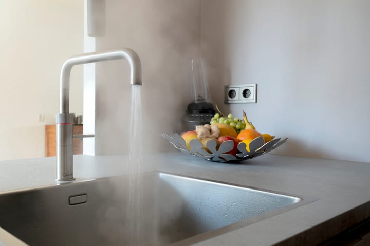 Foto 9 van Kalmoes 29