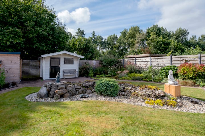 Foto 33 van Kalmoes 29