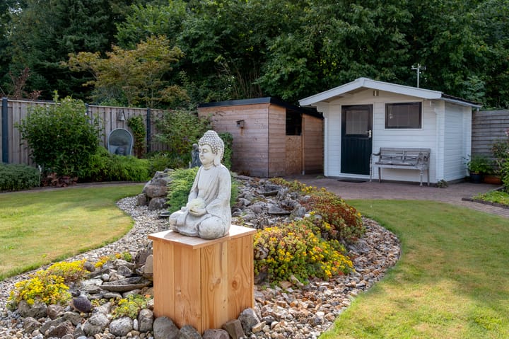 Foto 35 van Kalmoes 29