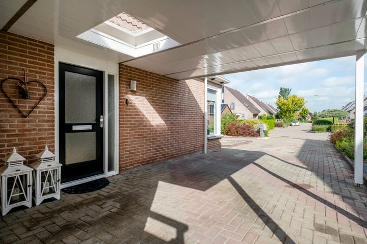 Foto 41 van Kalmoes 29