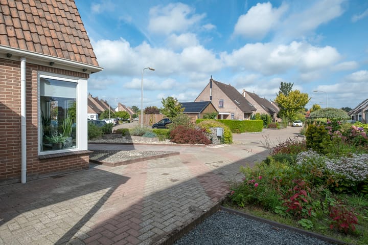 Foto 43 van Kalmoes 29