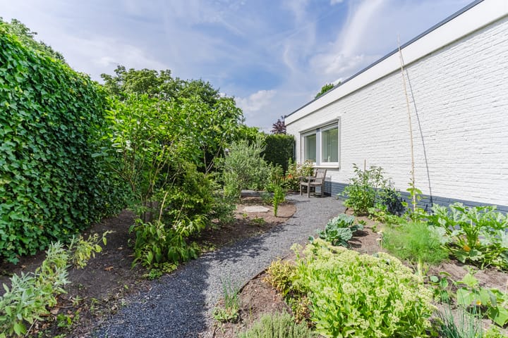 Foto 40 van Suijlke 2