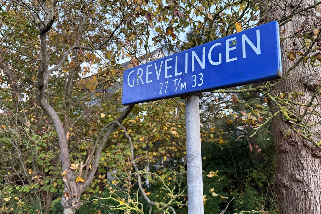 Photo 68 of Grevelingen 29