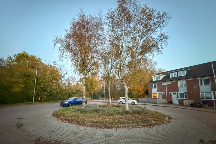 Photo 71 of Grevelingen 29