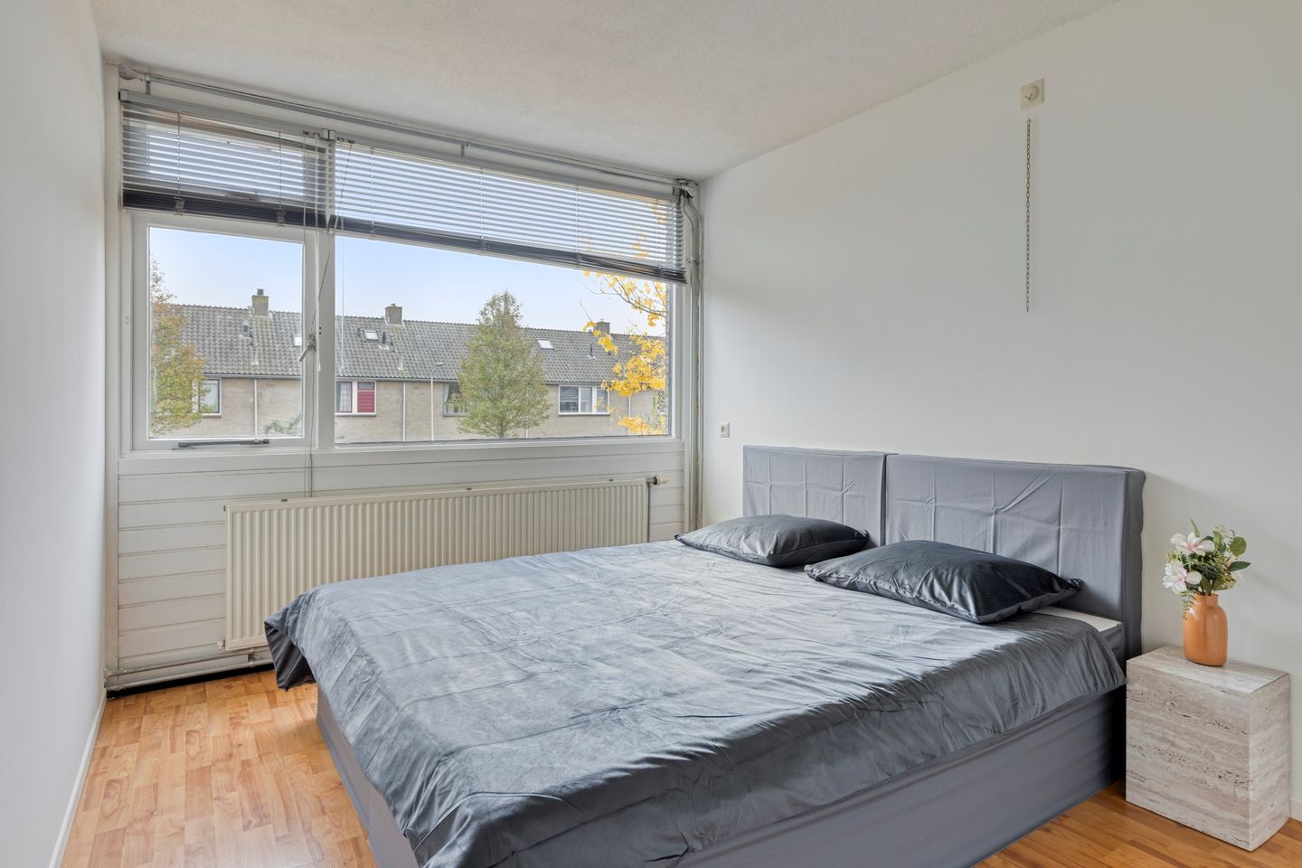 Foto 20 van Jan Ligthartstraat 40