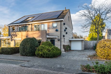 undefined main image