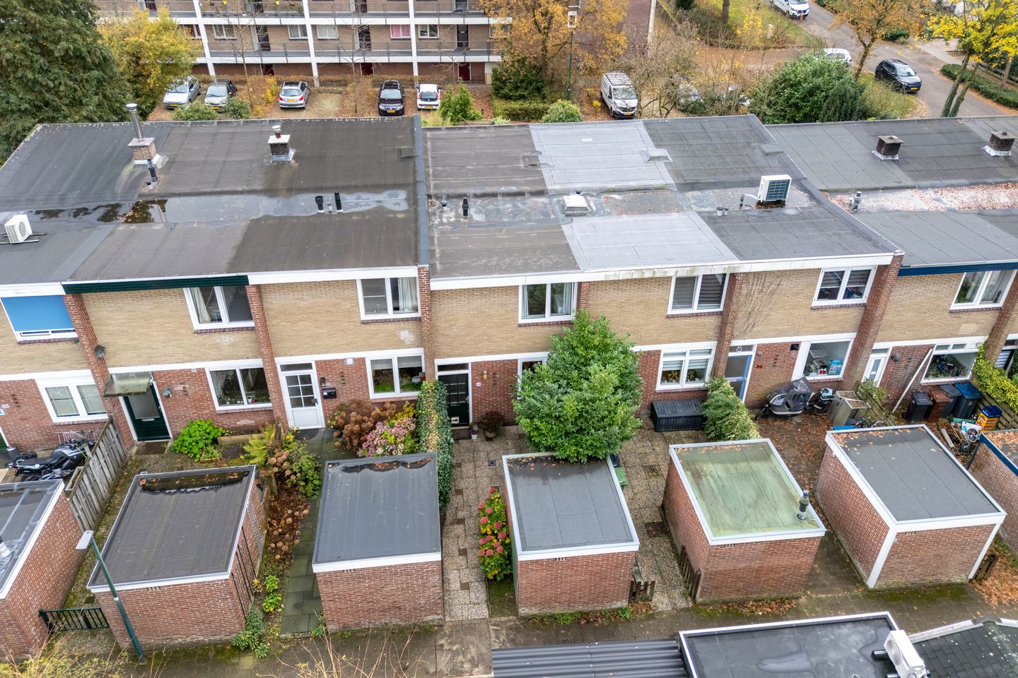 982.jpg?options=width=1440