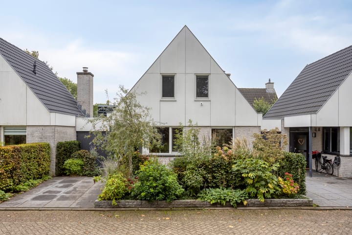 Foto 28 van Druivengaarde 24