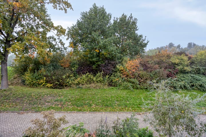 Foto 33 van Druivengaarde 24