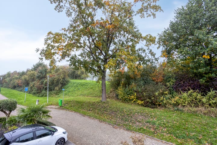 Foto 34 van Druivengaarde 24