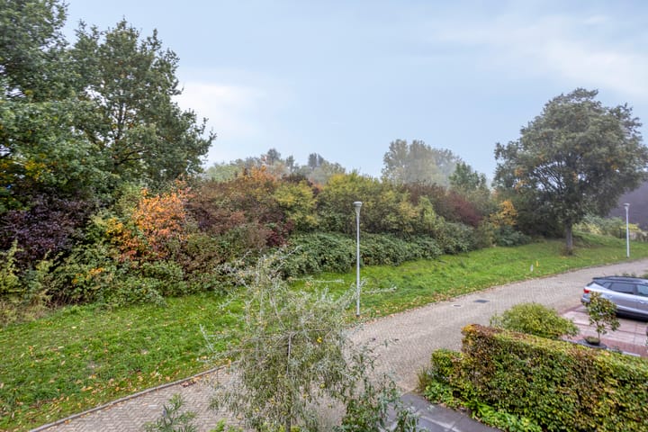 Foto 35 van Druivengaarde 24