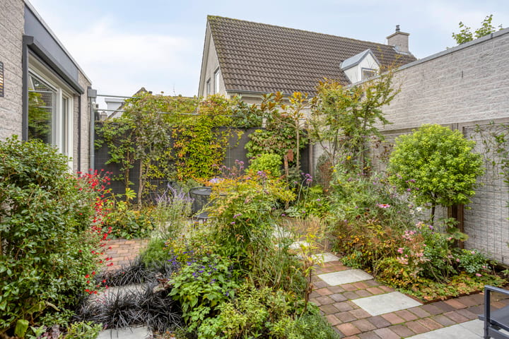 Foto 31 van Druivengaarde 24