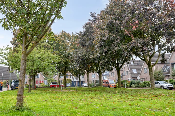 Foto 37 van Druivengaarde 24