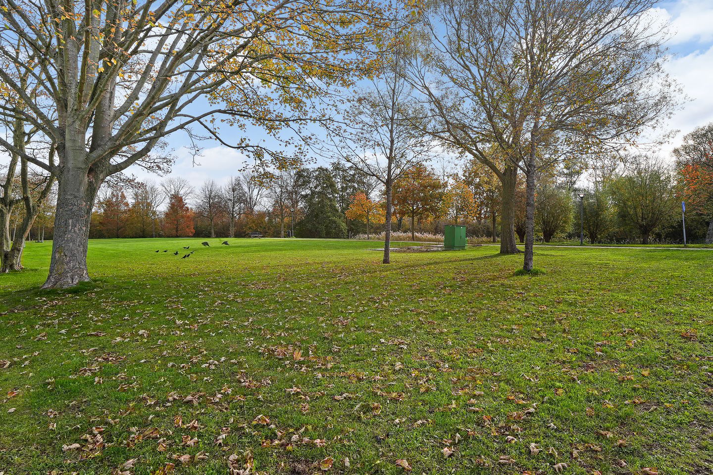 Photo 4 of Molenweg 49